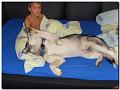 SDC11604