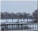 IMG_4947